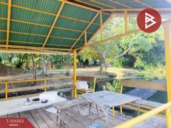 ขายที่ดินเปล่า เนื้อที่ 9 ไร่ 1 งาน 78.4 ตร.วา หนองบัว กาญจนบุรี-202412121219021733980742182.jpg