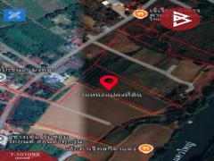 ขายที่ดินเปล่า เนื้อที่ 9 ไร่ 1 งาน 78.4 ตร.วา หนองบัว กาญจนบุรี-202412121219051733980745637.jpg