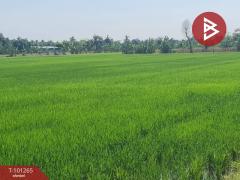  ขายที่ดินเปล่า เนื้อที่ 21 ไร่ 1 งาน 45 ตร.วา ลาดกระบัง กรุงเทพมหานคร-202412121546291733993189426.jpg