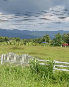 ขายที่ดิน ติดถนนหลักวิวภูเขาสวย 10-2-1 ไร่ อ.จุน พะเยา-202412152043151734270195092.jpg