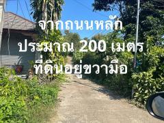 ขายที่ดินเนินดอย วิวภูเขาม่อนแจ่มสุดสวย 1-1-16 ไร่ อ.แม่ริม เชียงใหม่-202412160635231734305723531.jpg