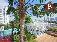 ขายคอนโด The Teak Sukhumvit 39 ใจกลางเมือง พร้อมอยู่-202412161219071734326347893.jpg