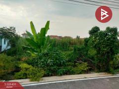 ขายที่ดินเปล่า-ซ.ลำโพ51-เนื้อที่-2-งาน-