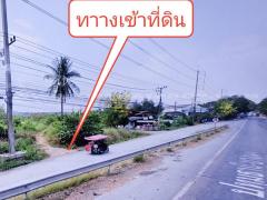ที่ดินจัดสรรล็อคที่ 9 อยู่ฝั่งซ้ายมือ ถ.346 ต.หน้าไม้ อ.ลาดหลุมแก้ว จ.ปทุมธานี-202412171738561734431936414.jpg