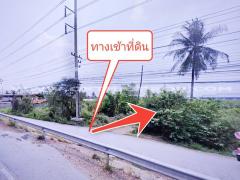 ที่ดินจัดสรรล็อคที่ 9 อยู่ฝั่งซ้ายมือ ถ.346 ต.หน้าไม้ อ.ลาดหลุมแก้ว จ.ปทุมธานี-202412171738591734431939072.jpg