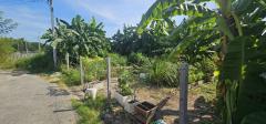 ขาย ที่ดิน ซอยเพิ่มสิน20 115 ตร.วา พหลโยธิน 54-1 บางเขน กทม เหมาะสร้างบ้าน-202412172217021734448622416.jpg