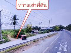 ที่ดินจัดสรรล็อคที่ 10 อยู่ฝั่งซ้ายมือ ถ.346 ต.หน้าไม้ อ.ลาดหลุมแก้ว จ.ปทุมธานี-202412181112231734495143356.jpg