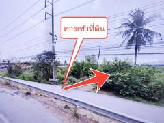 ที่ดินจัดสรรล็อคที่ 10 อยู่ฝั่งซ้ายมือ ถ.346 ต.หน้าไม้ อ.ลาดหลุมแก้ว จ.ปทุมธานี-202412181112261734495146235.jpg