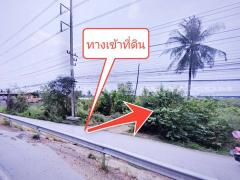 ที่ดินจัดสรรล็อคที่ 22 อยู่ฝั่งขวามือ ถ.346 ต.หน้าไม้ อ.ลาดหลุมแก้ว จ.ปทุมธานี-202412181339311734503971639.jpg