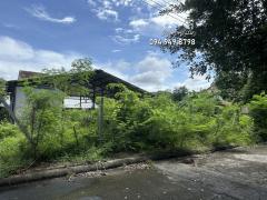 ขายที่ดินเปล่า 128 ตรว. แถมบ้านชั้นเดียว โครงการประภาวรรณโฮม 1 สุวินทวงศ์-ร่มเกล้า-202412191200351734584435728.jpg