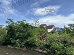 ขายที่ดินเปล่า 128 ตรว. แถมบ้านชั้นเดียว โครงการประภาวรรณโฮม 1 สุวินทวงศ์-ร่มเกล้า-202412191200411734584441815.jpg