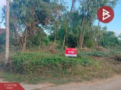ขายที่ดิน เนื้อที่ 1 งาน บ้านเกาะ อุตรดิตถ์-202412201126551734668815224.jpg