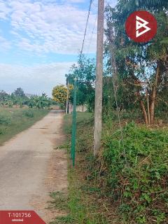 ขายที่ดิน เนื้อที่ 1 งาน บ้านเกาะ อุตรดิตถ์-202412201126561734668816878.jpg