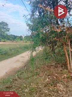 ขายที่ดิน เนื้อที่ 1 งาน บ้านเกาะ อุตรดิตถ์-202412201126571734668817648.jpg