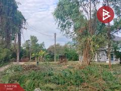 ขายที่ดิน เนื้อที่ 1 งาน บ้านเกาะ อุตรดิตถ์-202412201126591734668819963.jpg