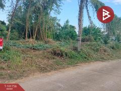 ขายที่ดิน เนื้อที่ 1 งาน บ้านเกาะ อุตรดิตถ์-202412201127001734668820732.jpg