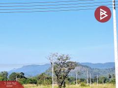 ขายที่ดิน ซ.สุวรรณศร6 เนื้อที่ 88 ตร.วา บ้านใหญ่ นครนายก-202412211100501734753650827.jpg