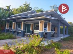 ขายบ้านเดี่ยวชั้นเดียว เนื้อที่ 1 งาน 78.2 ตร.วา ลาดยาว นครสวรรค์-202412211221481734758508048.jpg