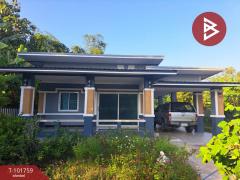 ขายบ้านเดี่ยวชั้นเดียว เนื้อที่ 1 งาน 78.2 ตร.วา ลาดยาว นครสวรรค์-202412211221481734758508849.jpg
