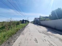 ขายบ้านสวนชั้นเดียว เลียบคลอง 14 ใกล้วัดป่าวิมุตตยาลัย องครักษ์ นครนายก-202412230909481734919788670.jpg