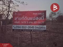 ขายที่ดินเปล่า เนื้อที่ 14 ไร่ 3 งาน 20 ตร.วา สามพร้าว อุดรธานี-202412231106531734926813983.jpg