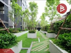 ขายคอนโด เดอะทรี จรัญฯ 30 (The Tree Charan 30) บางกอกน้อย กรุงเทพมหานคร-202412241557151735030635014.jpg
