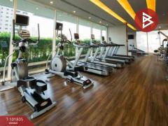 ขาย/เช่าคอนโด ไอวี่ ทองหล่อ (Ivy Thonglor) กรุงเทพมหานคร-202412251344291735109069796.jpg