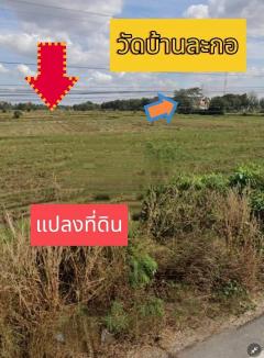 ขายที่ดินจ.นครราชสีมา ติดถนนเส้นจักราช-สีสุก อำเภอจักราชจังหวัดนครราชสีมา-202412251443011735112581171.jpg