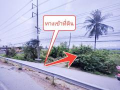 ที่ดินจัดสรรล็อคที่ 19 อยู่ฝั่งขวามือ ถ.346 ลาดหลุมแก้ว ปทุมธานี-202412251520121735114812112.jpg