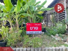 ขายที่ดิน ซ.รามอินทรา89 เนื้อที่ 22.5 ตร.วา คันนายาว กรุงเทพมหานคร-202412261132501735187570521.jpg