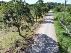 ขาย ที่ดิน เขาใหญ่ ต.​หนองน้ำแดง​ อ.ปากช่อง 180 ตรว ทำเลดีที่สุดในย่านนี้-202412290032061735407126299.jpg