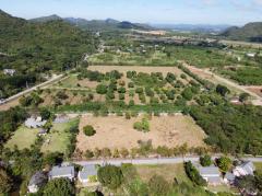 ขาย ที่ดิน เขาใหญ่ ต.​หนองน้ำแดง​ อ.ปากช่อง 180 ตรว ทำเลดีที่สุดในย่านนี้-202412290032071735407127819.jpg