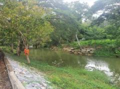 ขาย ที่ดิน เขาใหญ่ ต.ขนงพระ อ.ปากช่อง 3 ไร่ 2 งาน 96 ตรว ที่ติดลำตะคองคลอง มีน้ำไหลผ่านตลอดปี-202412290142541735411374354.jpg