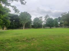 ขาย ที่ดิน เขาใหญ่ ต.ขนงพระ อ.ปากช่อง 3 ไร่ 2 งาน 96 ตรว ที่ติดลำตะคองคลอง มีน้ำไหลผ่านตลอดปี-202412290142561735411376367.jpg