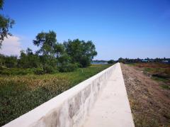 ประกาศขายที่ดินติดแม่น้ำท่าจีน 40ไร่ ใกล้สวนสาธารณะพุทธมณฑล-202412292226411735486001099.jpg