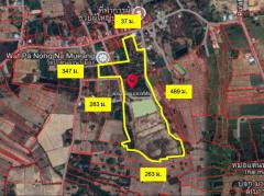 ขาย ที่ดิน ซอยวัดป่าหนองนาเมือง 45 ไร่ 2 งาน 50.7 ตรว-202412312132151735655535791.jpg