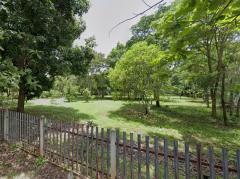 ขาย ที่ดิน ซอยวัดป่าหนองนาเมือง 45 ไร่ 2 งาน 50.7 ตรว-202412312132181735655538921.jpg