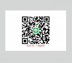 ขาย ที่ดิน ติดถนน ทล.เลข 11 อินทร์บุรี-เชียงใหม่  10 ไร่ 1 งาน 68.7 ตรว-202412312152411735656761583.jpg