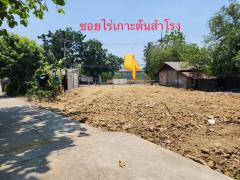 ขายที่ดินเปล่า 100 ตร.ว ซ. ไร่เกาะต้นสำโรง ต. พระประโทน อ. เมืองนครปฐม จ. นครปฐม-202501021619561735809596917.jpg