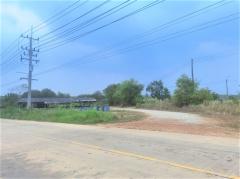 ขาย ที่ดิน ME305 แปลงใหญ่ ราคาถูก หนองอิรุณ บ้านบึง ชลบุรี. 103 ไร่ 70 ตร.วา ติดถนนสาธารณะ ใกล้ถนน 331 เพียง 4 Km.-202501031318351735885115781.jpg