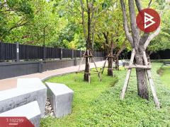 ขายคอนโด ชีวาทัย เพชรเกษม 27 (Chewathai Phetkasem 27) กรุงเทพมหานคร-202501040941431735958503491.jpg