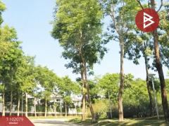 ขาย/เช่า คอนโดหรู นอร์ท 4 เชียงใหม่ (North 4 Chiang Mai) วิวภูเขา-ทะเลสาบ-202501041016001735960560290.jpg