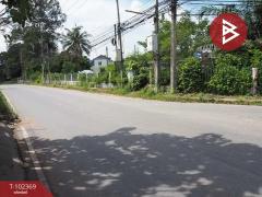 ขายทาวน์เฮ้าส์ หมู่บ้านพัทยาปาร์คฮิลล์ ชลบุรี (Pattay Park Hill) พร้อมอยู่ฯ-202501051438421736062722385.jpg