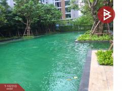 ขายคอนโด วีธารา สุขุมวิท 36 (Vtara Sukhumvit 36) กรุงเทพมหานคร พร้อมอยู่-202501061107311736136451995.jpg