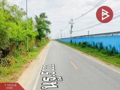 ขายด่วนที่ดินเปล่า เนื้อที่ 19 ไร่ 81.8 ตร.วา ถนนขาด นครปฐม-202501061408071736147287103.jpg