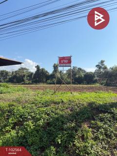 ขายที่ดินเปล่าด่วน-เนื้อที่-8-ไร่-3-งา