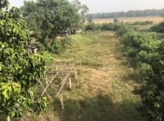 ให้เช่า อาคาร 2 คูหา ติดถนนใหญ่ พร้อมที่ดินเปล่า 379 ตร.ว. ลำลูกกาคลอง 6 ปทุมธานี ใกล้ทางด่วนวงแหวน-ลำลูกกาคลอง 6 BTSคูคต-202501071502141736236934380.jpg