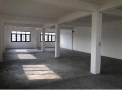 ให้เช่า อาคาร 2 คูหา ติดถนนใหญ่ พร้อมที่ดินเปล่า 379 ตร.ว. ลำลูกกาคลอง 6 ปทุมธานี ใกล้ทางด่วนวงแหวน-ลำลูกกาคลอง 6 BTSคูคต-202501071502171736236937114.jpg