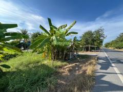 ขายที่ดินหนองเสือ คลอง14 ปทุมธานี 18 ไร่ ทำเลดี เหมาะปลูกบ้าน ที่ดินจัดสรร ราคาต่อรองได้-202501071530281736238628559.jpg