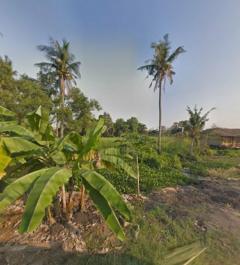 ให้เช่า บ้านเดี่ยว pool villa พัทยา 550 ตรม 130 ตรว-202501071826431736249203026.jpg